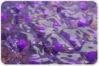 Blocking immune cell signals reduces scar tissue formation in wounds