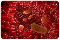 Engineered Gut Bacteria With MiRNA Nanoparticles To Reverse IBD