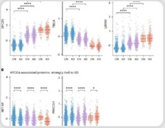 APOEε4 and Alzheimer's treatment