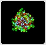 Atelerix enters agreement with Cherry Biotech to integrate non-cryogenic transport solutions with advanced organoid models