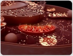 Nanoflower-treated stem cells deliver healthier mitochondria to stressed cells