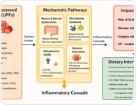 How ultra-processed foods shape Crohn’s disease risk and what dietary strategies can really help