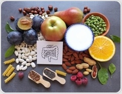 How modern diets are driving rapid evolution in gut bacteria