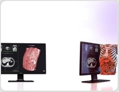 How Avatar Medical's 3D technology is transforming how we visualize the human body