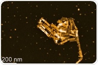 Policy, Safety, and Regulation in the Age of Nanotechnology