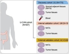 New research decodes the bacterial “zip code” of colorectal cancer for prediction and survival
