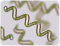 Algae may help meet future protein demand without straining the planet