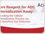 Unveiling ADC cellular internalization with pH-sensitive dye detection