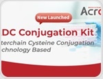 Complete ADC conjugation in just 3 hours: Speed without compromise