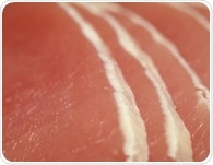 Adding lean pork to a plant-forward diet supports healthy aging biomarkers