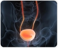 Dual-responsive nanodelivery system enhances immunotherapy efficacy in metastatic bladder cancer