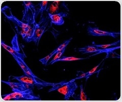 FDA warns consumers about fake cancer cures sold online