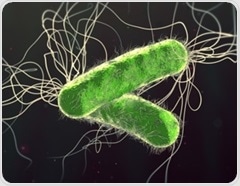 More iron, less damage: why chronic lung infections persist