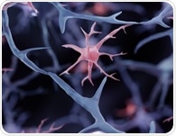 Ageing slows brain protein clearance and shifts synaptic waste to microglia
