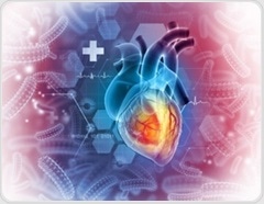 Nearly half of adults now live with heart disease as obesity and diabetes surge