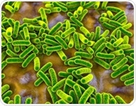 How modern lifestyles reprogram the gut microbiome and shape disease risk