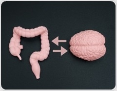 Gut problems may shape Parkinson’s disease progression through the gut-brain axis