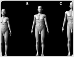 The long and short of it: Human penis size evolved for both attraction and rivalry, study suggests