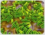 How modern lifestyles reprogram the gut microbiome and shape disease risk