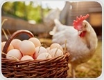 Turning everyday eggs into powerful nutrient delivery systems