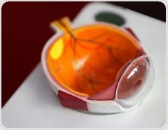 Metformin linked to lower odds of intermediate macular degeneration in people with diabetes