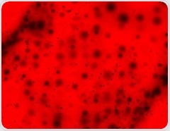 Role of food nutrients in reducing oxidative stress linked to micro- and nanoplastics