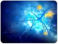 Alzheimer’s plaques decline after CAR-T immune cell treatment in preclinical study