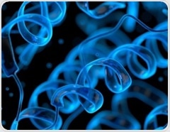 The life cycle of a protein