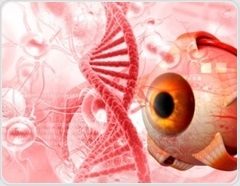 The role of PAX6 in eye development and genetic eye disorders