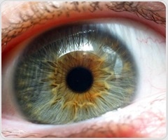 Vitamin A and thyroid hormones in the retina shape fetal vision