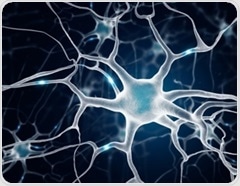 Researchers reveal why SuperAgers retain youthful brain cell signatures into their 80s