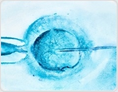 Long-term effects of IVF on women’s health: Cancer risk, heart disease, and menopause