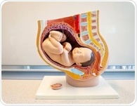 How the placenta predicts lifelong health and disease risk