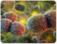 Scientists show gut bacteria can reach the brain in mice and reveal a potential vagus nerve pathway