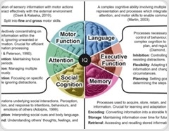 Air pollution may be lowering global IQ and widening inequality, researchers warn