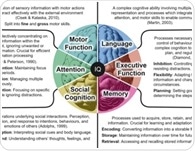 Air pollution may be lowering global IQ and widening inequality, researchers warn