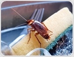 Study finds cockroach allergy often driven by shared proteins across arthropods