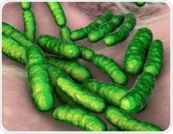 Vaginal microbiome may play key role in pregnancy health and preterm birth risk, researchers say