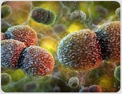 Scientists show gut bacteria can reach the brain in mice and reveal a potential vagus nerve pathway