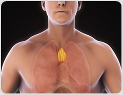 A healthier thymus predicts longer life and lower cancer and heart disease risk in adults