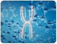 Researchers identify the nuclear root of cellular aging