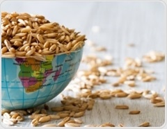 Benefits from food fortification, yet global nutrient gaps persist