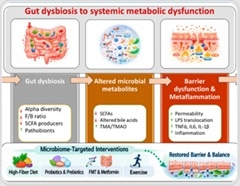 How gut imbalance may drive obesity, diabetes, and heart disease