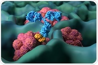 New Insights Into Antibody Glycans may Advance Tuberculosis Prevention
