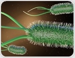Engineered E. coli Produces Key Plant Compound at Record Levels
