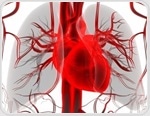 Study links atrial fibrillation to poorer brain clearance and cognitive decline