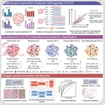 New genetic ‘roadmap’ advances precision therapy for intrahepatic cholangiocarcinoma