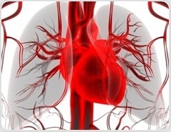 Study links atrial fibrillation to poorer brain clearance and cognitive decline