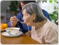 Gut microbiome changes improve memory in early cognitive decline