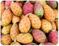 Prickly pear may pack a surprising punch against metabolic syndrome